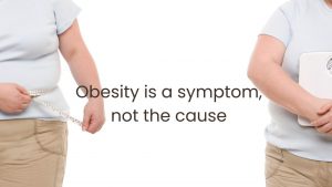 Obesity is a symptom, not the cause
