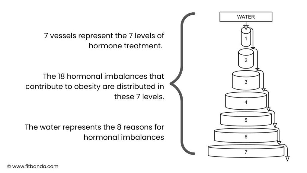 Vessel theory of hormonal imbalances.